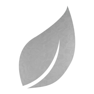 Cassini
