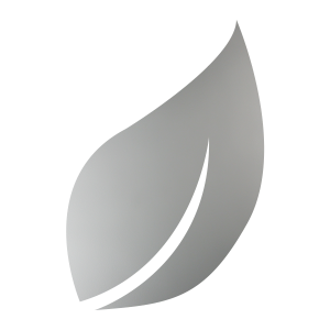 Stippolyte